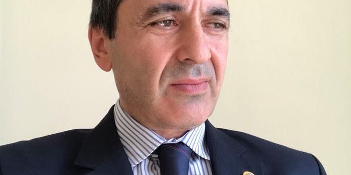 უნივერსიტეტ გეომედის პროფესორის, რევაზ ლორთქიფანიძის ნაშრომი